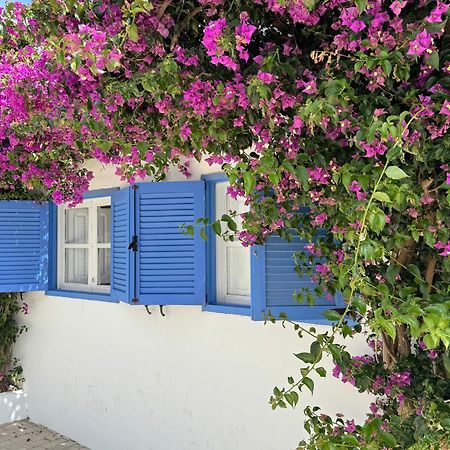Casa Mellis Aguamarga Lägenhet Agua Amarga  Exteriör bild