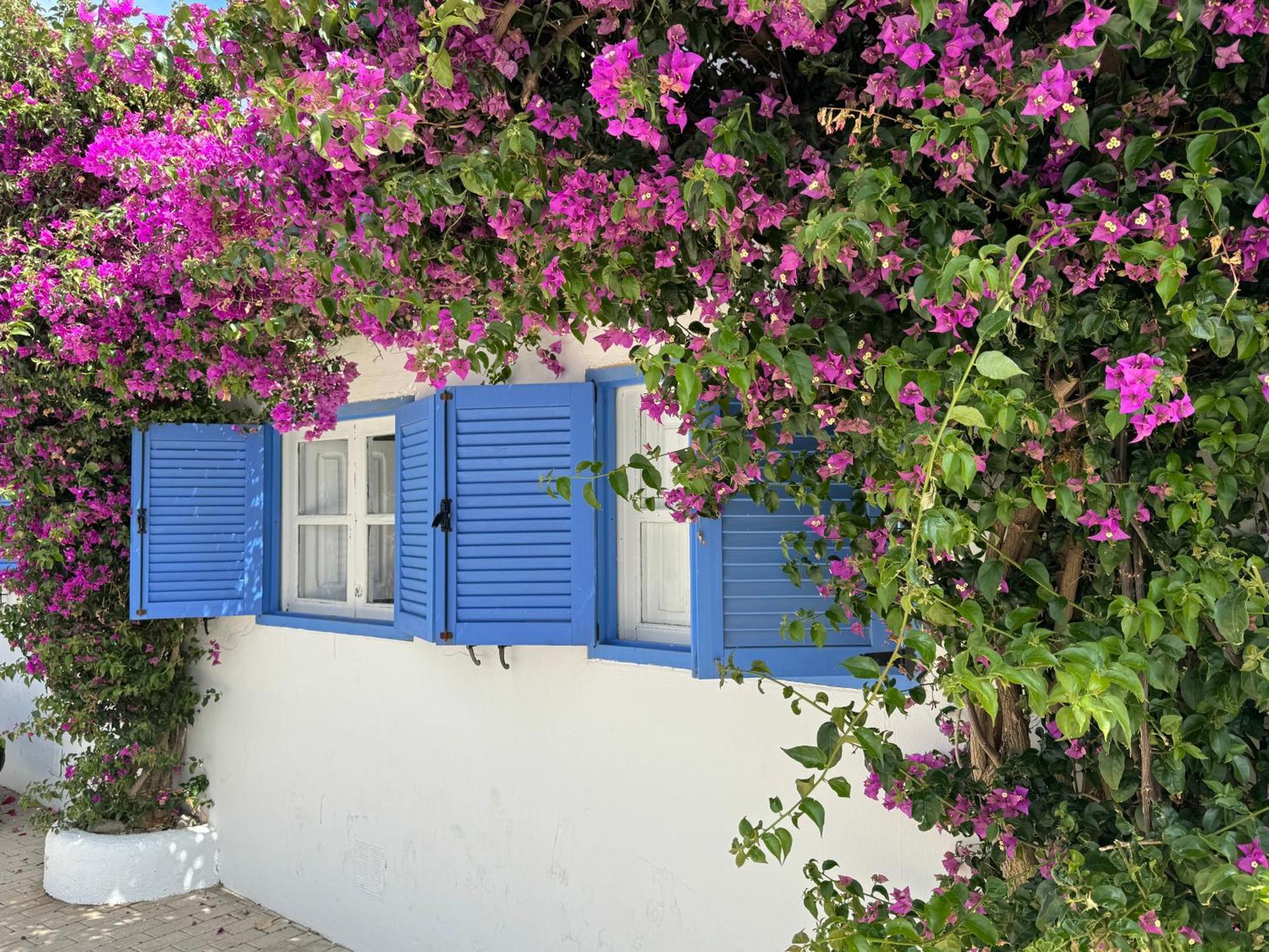 Casa Mellis Aguamarga Lägenhet Agua Amarga  Exteriör bild