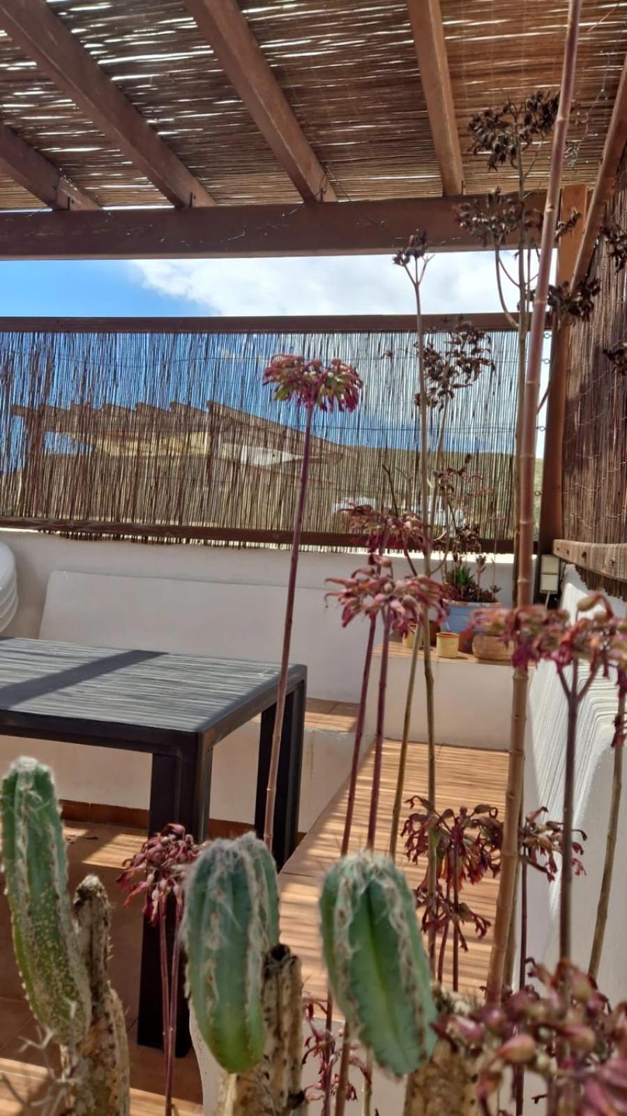 Casa Mellis Aguamarga Lägenhet Agua Amarga  Exteriör bild